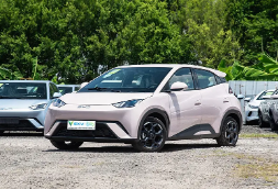 Cé na Feithiclí Paisinéirí a Fhoireann do Do Riachtanais Ghnó?